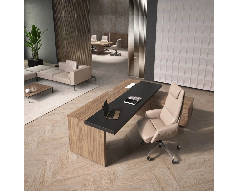 Кабинет руководителя Галакси / Galaxy