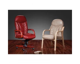 Кресло руководителя Ренуар DB-800 images
