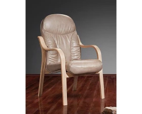 Стул офисный Ренуар SE-010 images