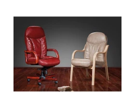 Стул офисный Ренуар SE-010 images