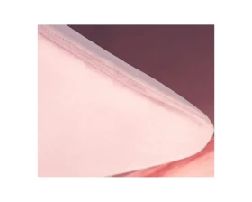 Кресло дизайнерское Swan images