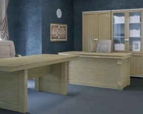 Кабинет руководителя Lion images