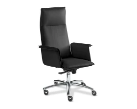 Кресло Epsilon Luxe A chrome images