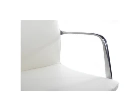 Кресло RV ДИЗАЙН Плаза-СФ / Plaza-SF (FK004-С11) images