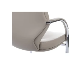 Кресло RV ДИЗАЙН Алонзо-СФ / Alonzo-CF (С1711) images