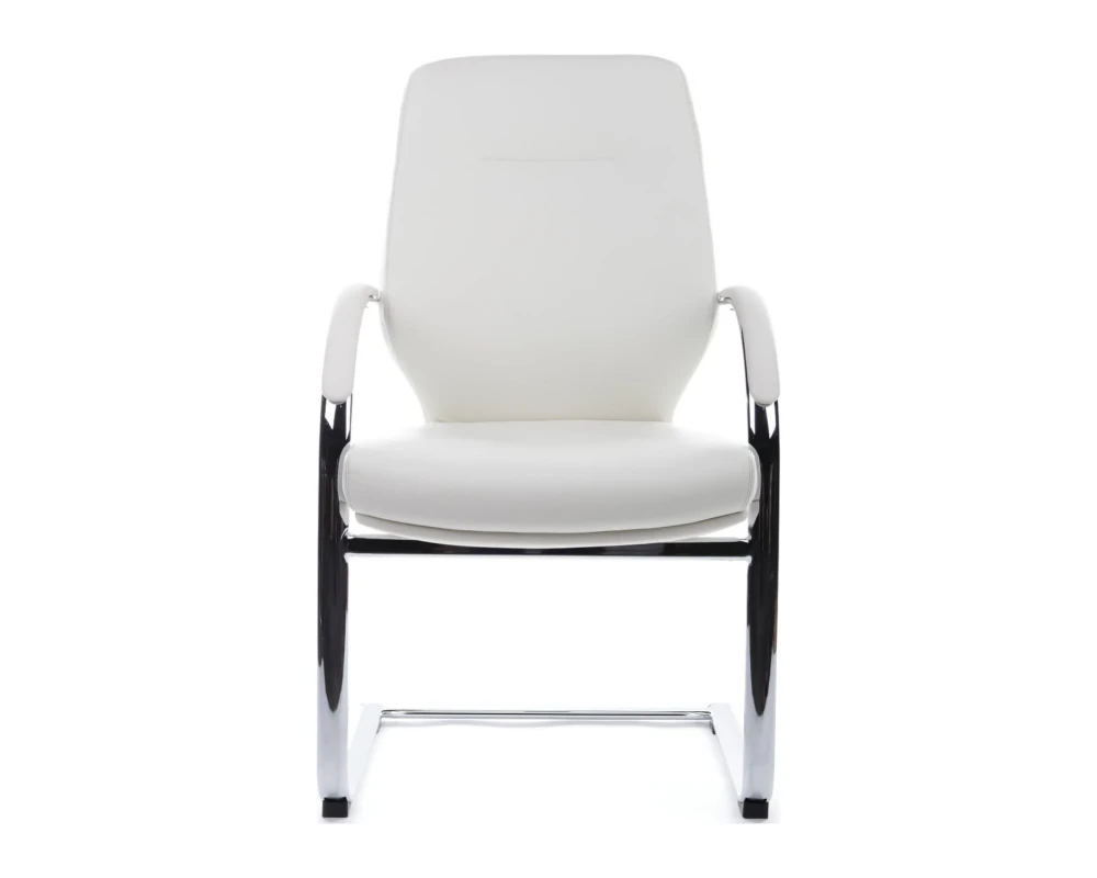 Кресло RV ДИЗАЙН Алонзо-СФ / Alonzo-CF (С1711)