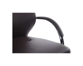 Кресло RV ДИЗАЙН Алонзо-СФ / Alonzo-CF (С1711) images