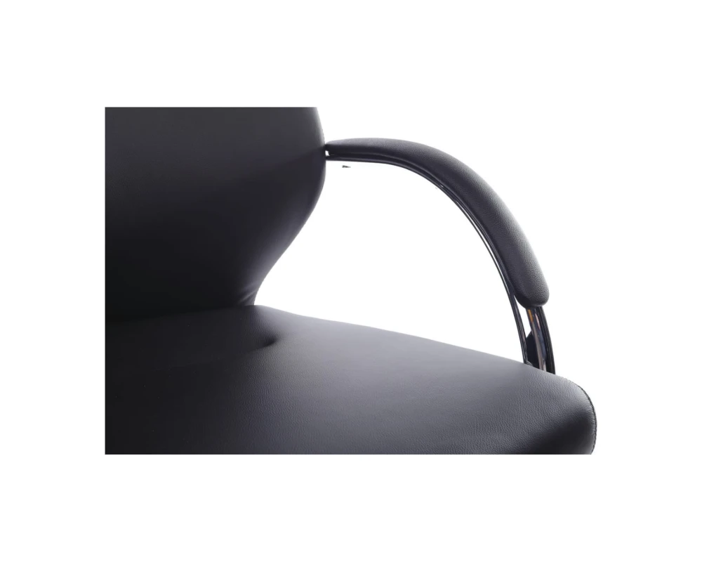 Кресло RV ДИЗАЙН Алонзо-СФ / Alonzo-CF (С1711)