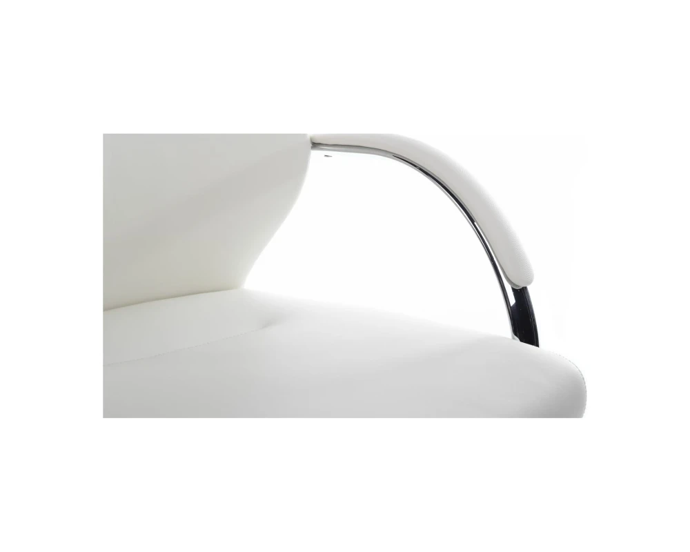 Кресло RV ДИЗАЙН Алонзо-СФ / Alonzo-CF (С1711)