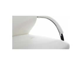 Кресло RV ДИЗАЙН Алонзо-СФ / Alonzo-CF (С1711) images