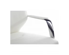 Кресло RV ДИЗАЙН Алонзо-М / Alonzo-M (В1711) images