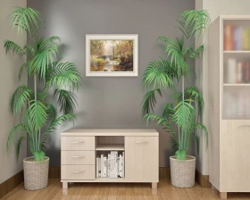 Кабинет руководителя Фёст / First images