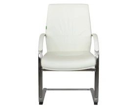 Кресло RV ДИЗАЙН Алваро-СФ / Alvaro-SF (C 1815) images