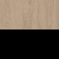 Дуб светлый/Черный