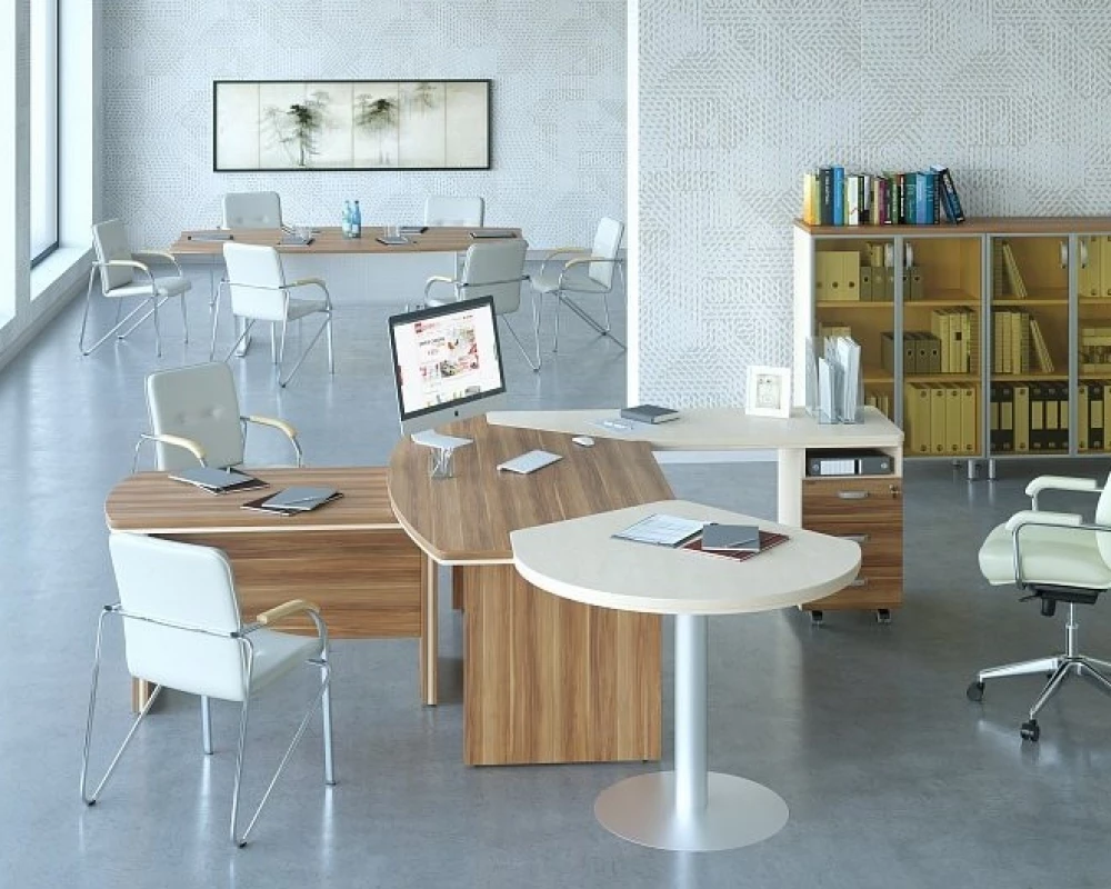 Кабинет руководителя Берлин Директор