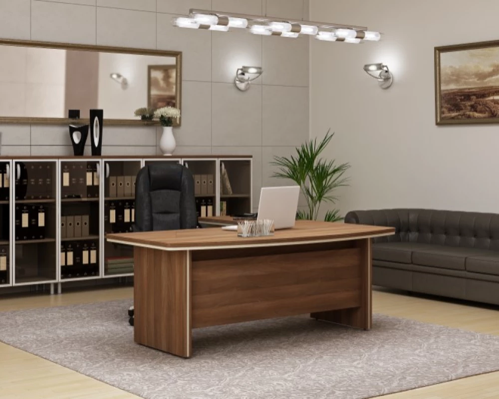 Кабинет руководителя Берлин Директор