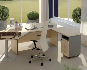 Кабинет руководителя Берлин Директор images