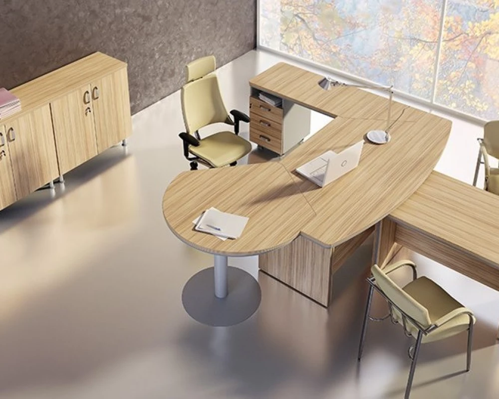 Кабинет руководителя Берлин Директор