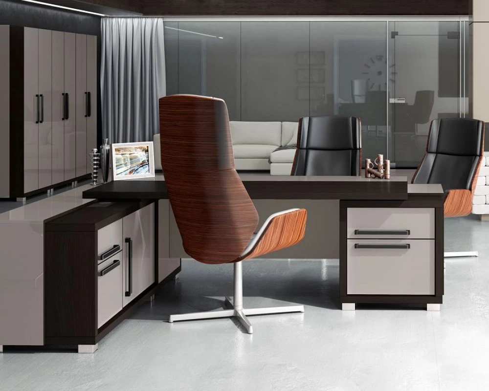 Кабинет руководителя Грейс / Grace