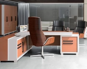 Кабинет руководителя Грейс / Grace images