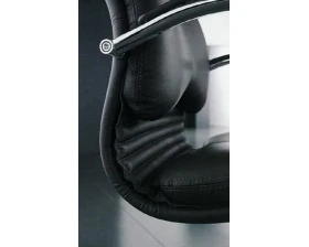 Кресло МАРА П, кожа, хром images