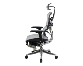 Кресло Ergohuman PLUS Legrest images