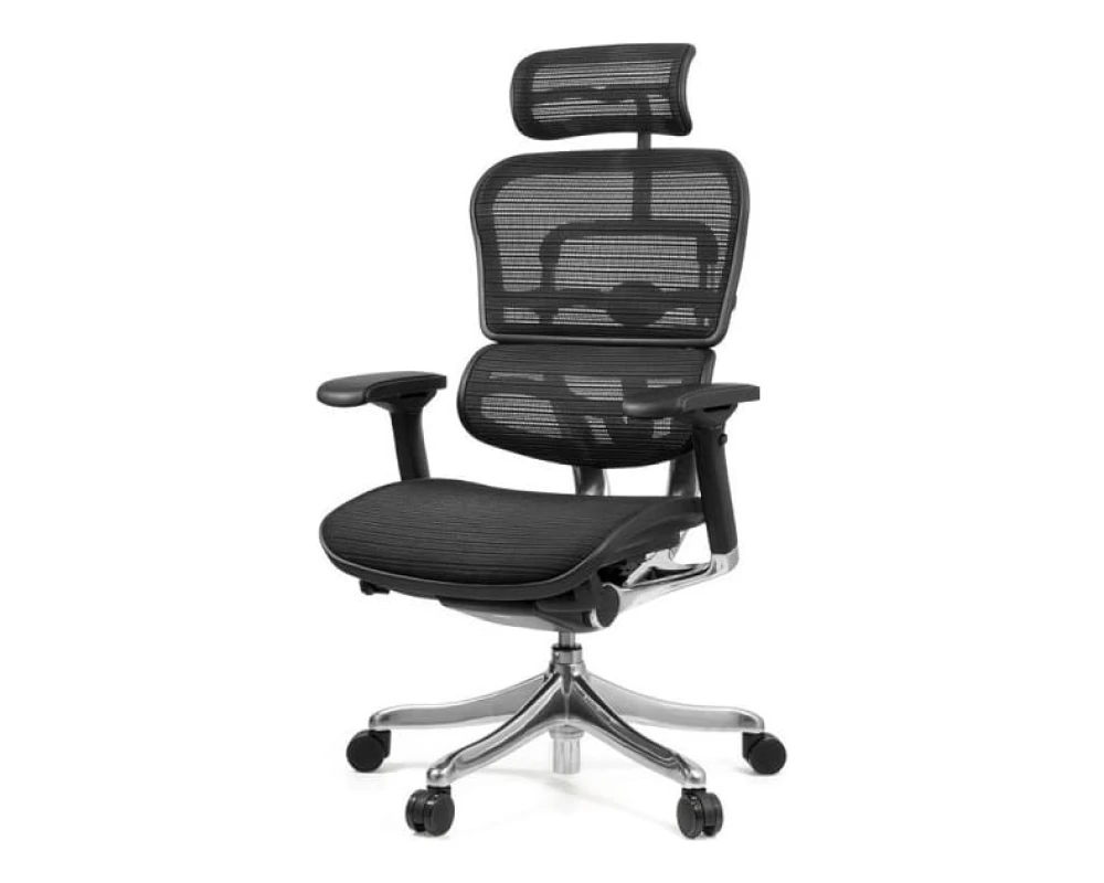 Кресло Ergohuman PLUS