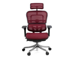 Кресло Ergohuman PLUS images