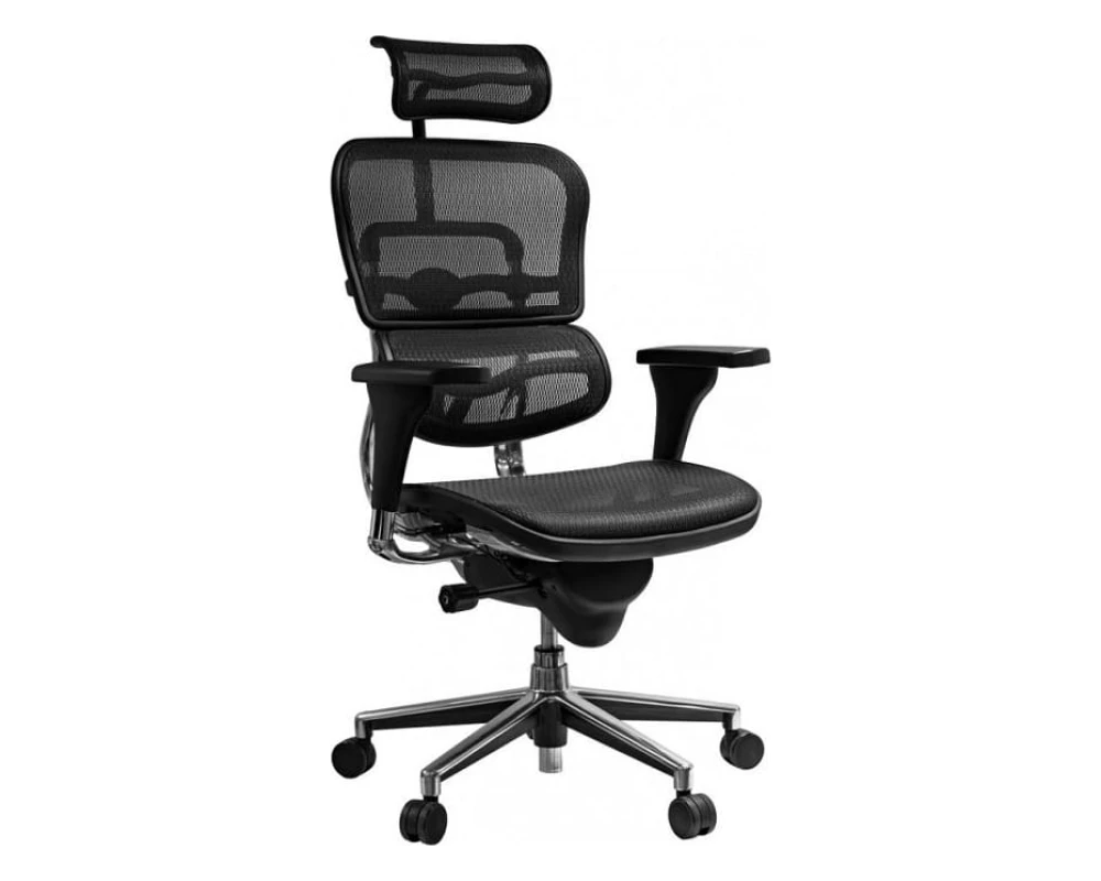 Кресло Ergohuman Standart