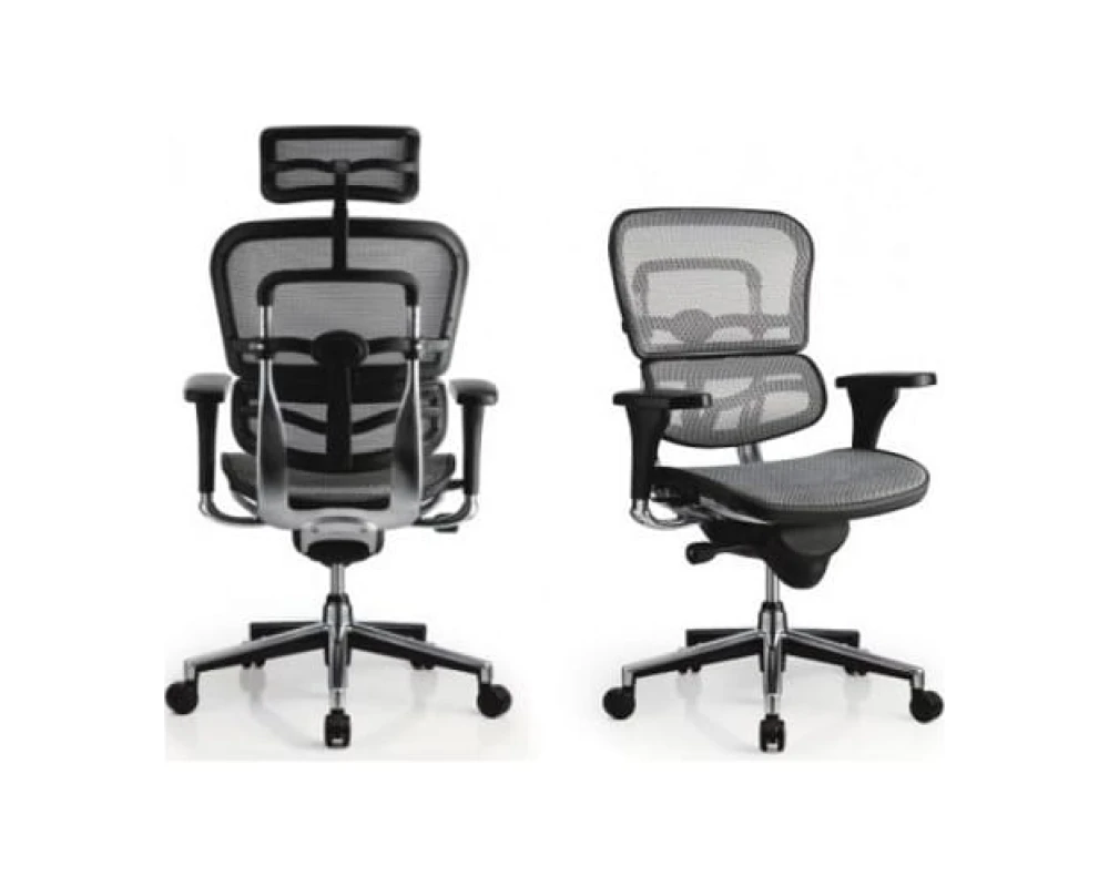 Кресло Ergohuman Standart