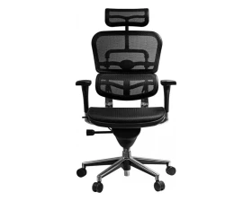 Кресло Ergohuman Standart images