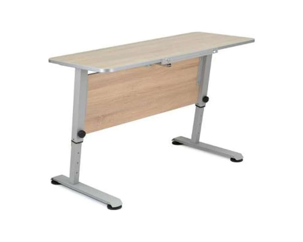 Парта Эрудит