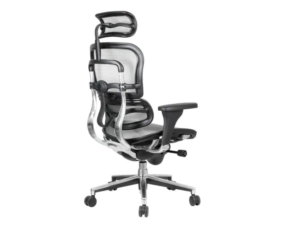 Кресло Ergohuman Standart