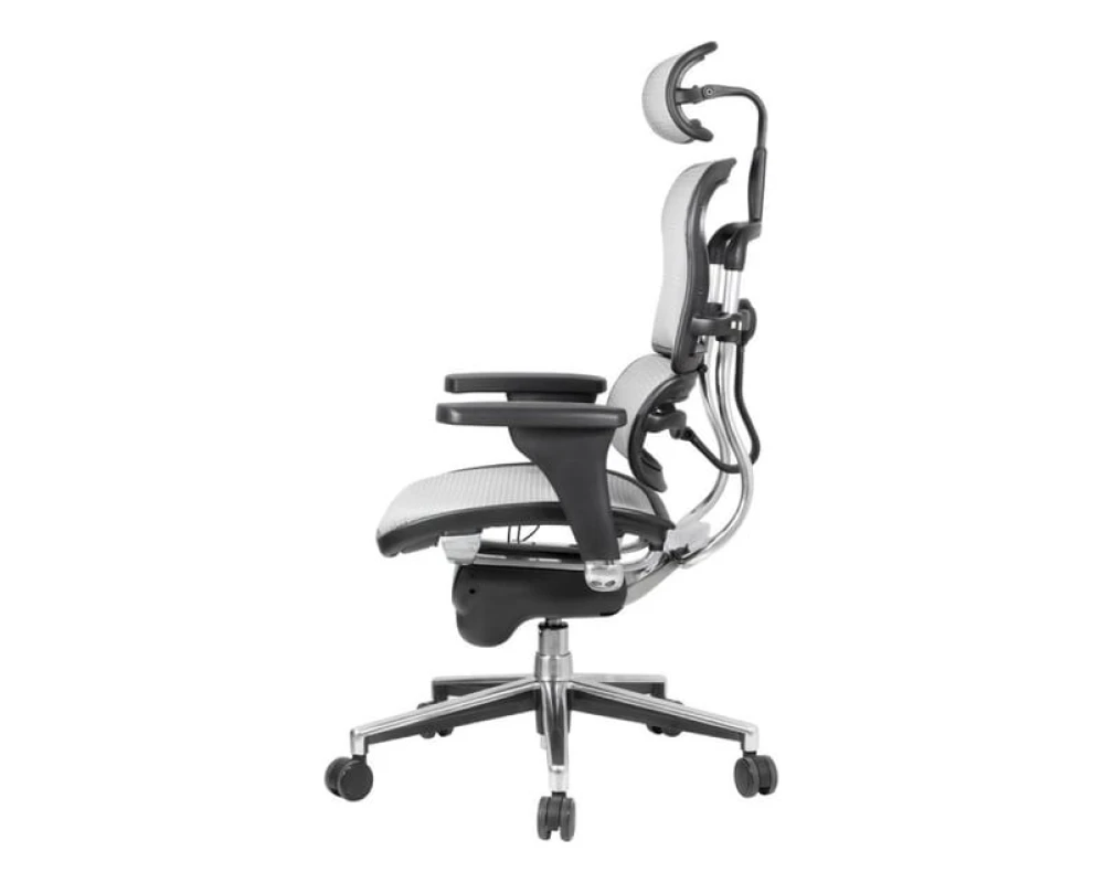 Кресло Ergohuman Standart