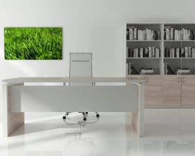 Кабинет руководителя STEEL EVO images