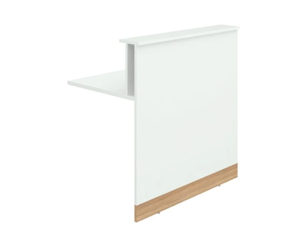 Модуль прямой RR-100 Rio Reception