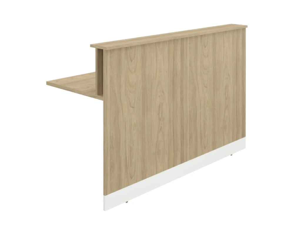 Модуль прямой RR-160 Rio Reception