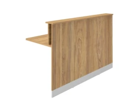 Модуль прямой RR-160 Rio Reception images