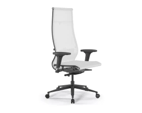 Кресло ErgoLife SynchroSit 10 B1-107D M23.B11.G19.W02 Сетка, Белый images