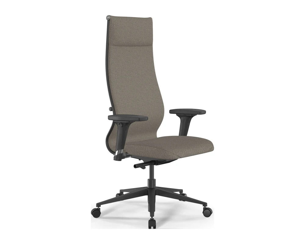 Кресло ErgoLife SynchroSit 10 B1-162D M23.B11.G19.W02 Ткань, Песочный