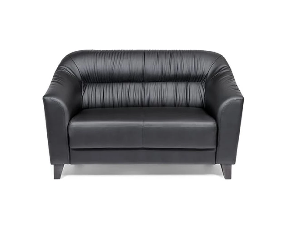 2-х местный диван Райт Вуд