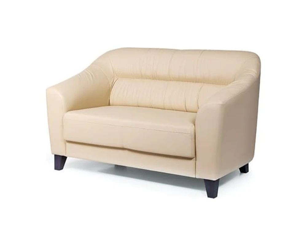 2-х местный диван Райт Вуд