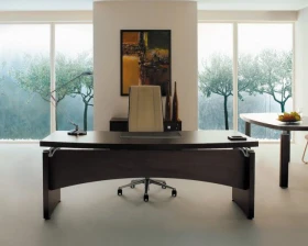 Кабинет руководителя Premier images