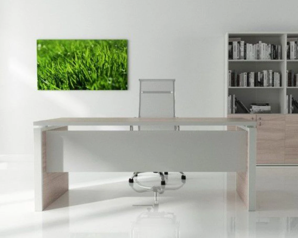 Кабинет руководителя STEEL EVO