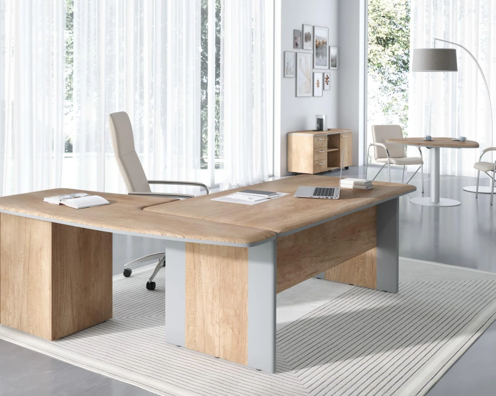 Кабинет руководителя Диони / Dioni