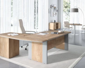 Кабинет руководителя Диони / Dioni images