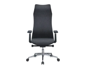 Кресло CHAIRMAN CH583 SL images