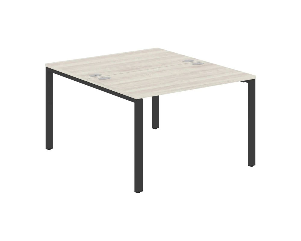 Рабочая станция на 2 места 1200х1406х750 Xten С60