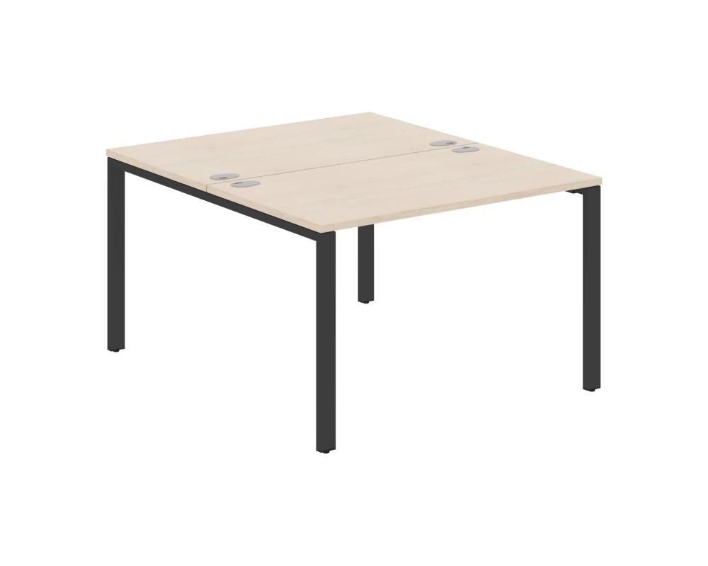 Рабочая станция на 2 места 1200х1406х750 Xten С60