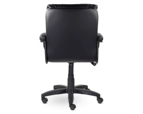 Кресло Свинг Н пластик-люкс images